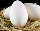 Гусиные яйца в рационе: польза и вред